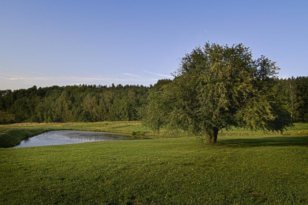 Gosciniec Nowa Wioska Bed and Breakfast Wałbrzych Eksteriør billede
